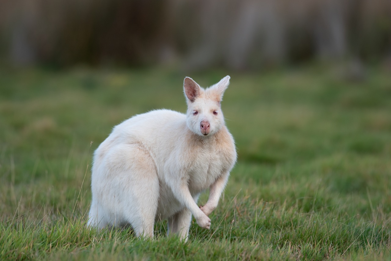 The Ethical Boundaries of Genetics